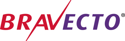 Bravecto 365